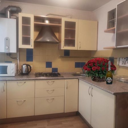 Центр Набережная Красивая Dnipro Extérieur photo